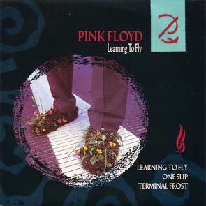 Pink Floyd - Learning To Fly