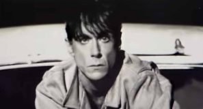 Iggy Pop - Real Wild Child (Wild One) - Official Music Video