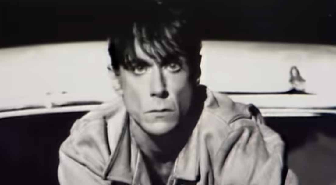Iggy Pop - Real Wild Child (Wild One) - Official Music Video