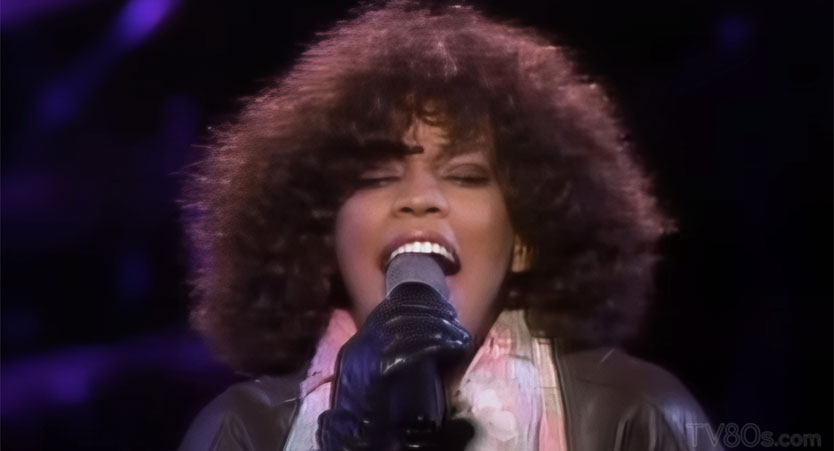 Whitney Houston - Didn't We Almost Have It All - Official Music Video.